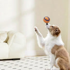 Sae7012925061415c927dfc1e9a576363H